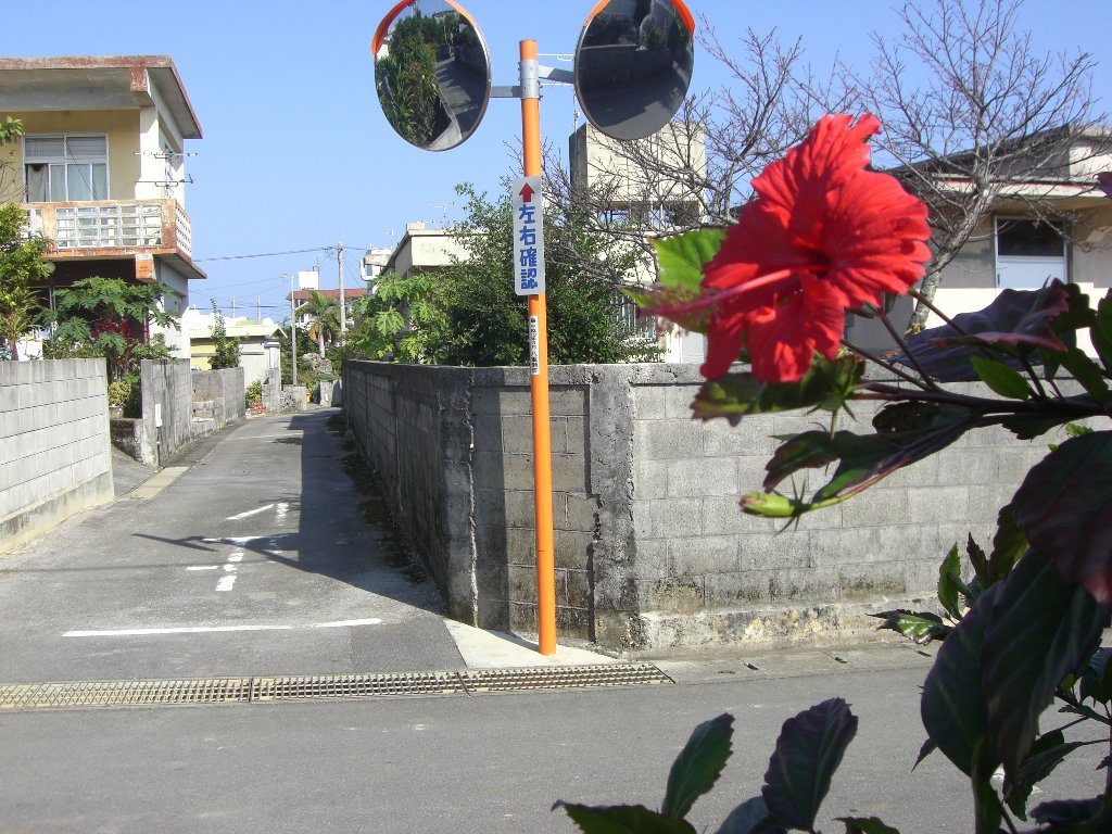 沖縄のス〜ジ道（路地）
