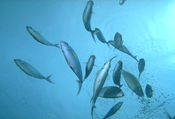 ���ߥۥ��ܥ������ߥƥ󥰡��ĥޥ����������ʤ󤫤����⤷�����ä��ꤹ��