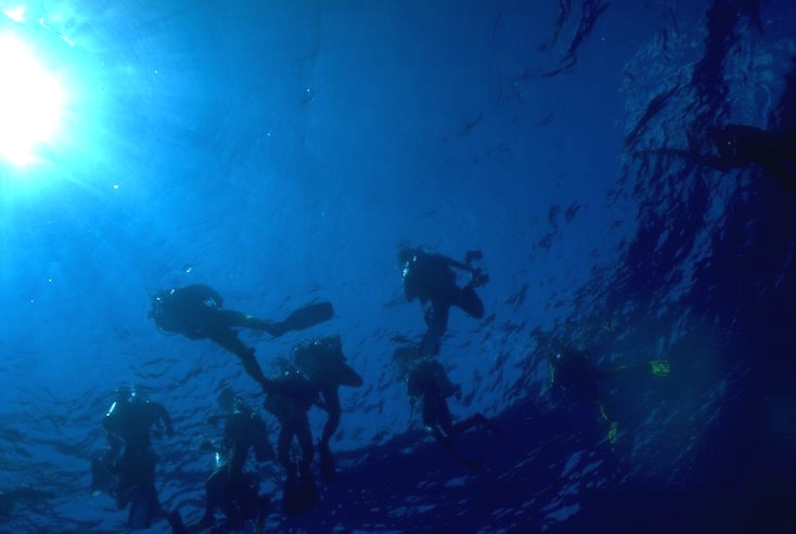 ŷ���ޤ�ͽ��ˤ��ܤ�Υ���ʤ�