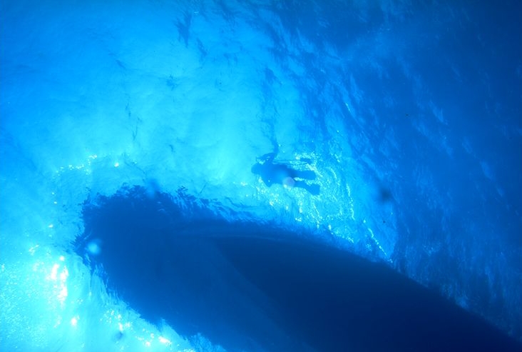 ����������ӥ󥰤Ǥϳ���ͤäƤ⤤��