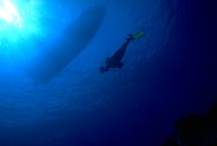 �����쥯�ޥΥߤ��ʤ�ȸ��äƤ�İ����Ǥϥʥ�С���