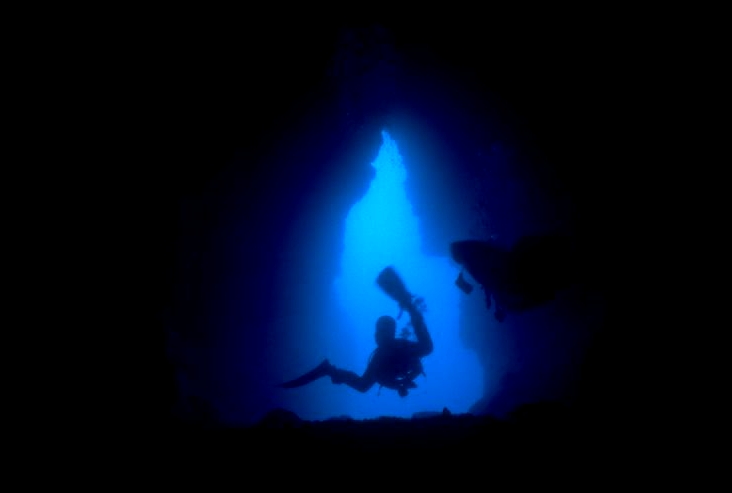 ��������ʪ�������ˤ�������μ��ब���ä�