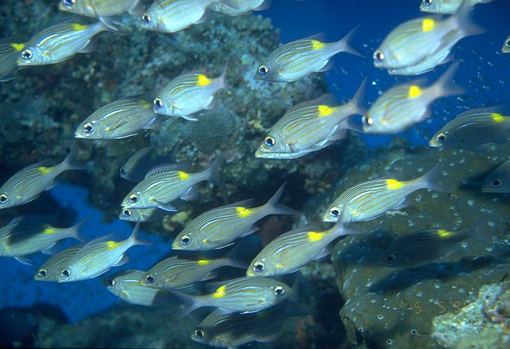 ������������ޤ���