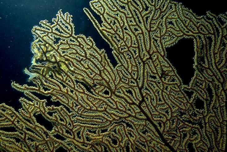 ������ã���̤ص��äƤ����ޤ�