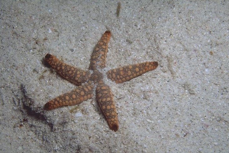 �����ӥ󥰴��äƹ⤤�Ǥ����