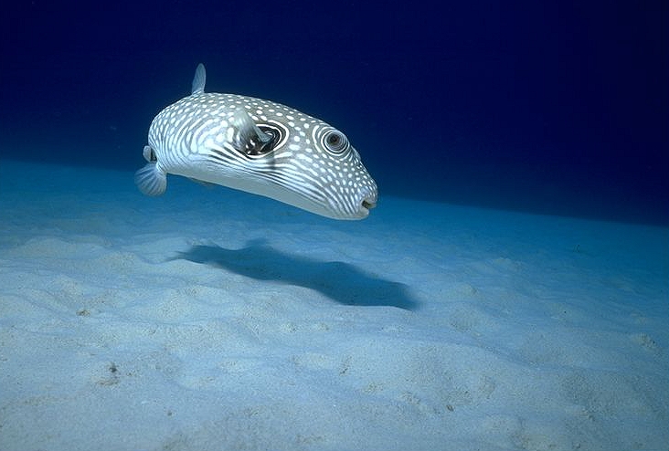 1ǯ�Τ����ǲ���γ��������ɤ��Τ�